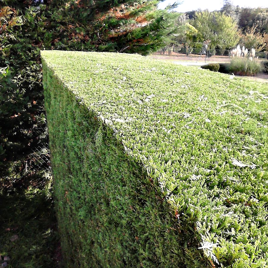 Entretien de jardins