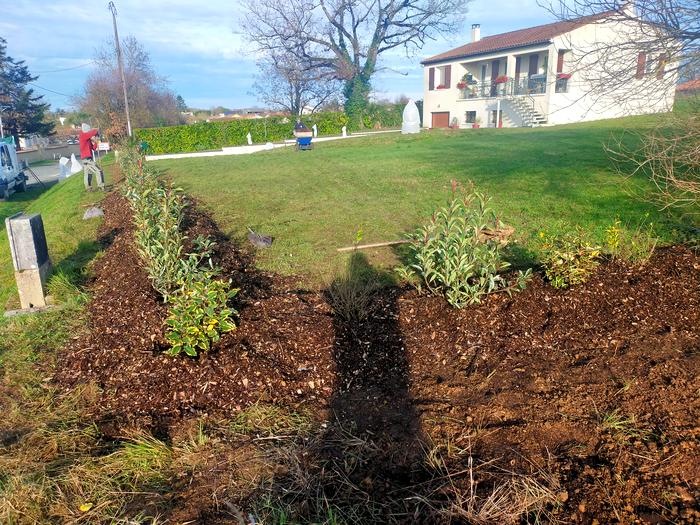 Implantation de végétaux
