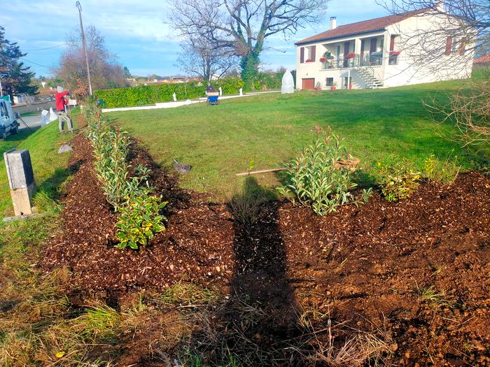 Implantation de végétaux